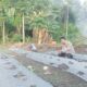 Bhabinkamtibmas Polsek Sendana Turun Langsung Dampingi Petani Tanam Cabai Keriting di Bonde-Bonde