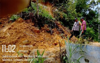Bhabinkamtibmas Polsek Mambi Tanggap Bencana, Longsor Tutup Akses Jalan di Dusun Tangauma