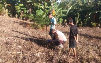 Bhabinkamtibmas Polsek Sarudu Ajak Warga Manfaatkan Lahan Kosong, Dukung Ketahanan Pangan Lewat Penanaman Jagung