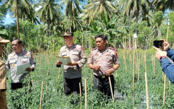 Polsek Bambalamotu Tunjukkan Komitmen Ketahanan Pangan, Lomba P2L dan P2B Berlangsung Meriah