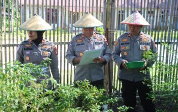 Penilaian P2L dan P2B, Tim Polres Pasangkayu Tinjau Pekarangan Produktif di Sarudu dan Baras
