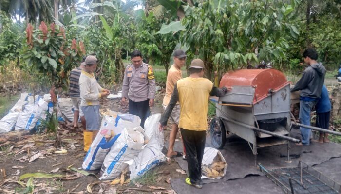 Bhabinkamtibmas Polsek Bambalamotu Panen Jagung Kelompok Tani di Desa Bambaira