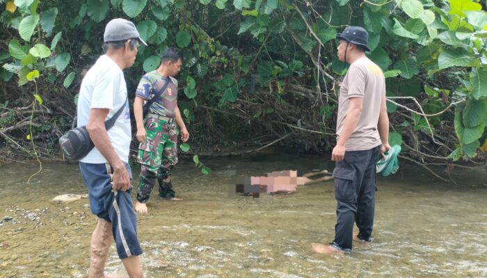 Polsek Sarudu Gerak Cepat Datangi TKP Penemuan Pria Meninggal di Sungai Kuma