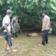 Polsek Sarudu Gerak Cepat Datangi TKP Penemuan Pria Meninggal di Sungai Kuma