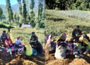 Tingkatkan Kesejahteraan Petani, Babinsa Giatkan Diversifikasi Tanaman Sayur