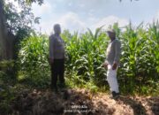 Polisi Turun ke Sawah, Pantau Tanaman Hortikultura demi Ketahanan Pangan Nasional