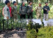 Kasdim 0819/Pasuruan Tinjau Lahan Persiapan Batalyon TP di Kawasan Perhutani Gempol