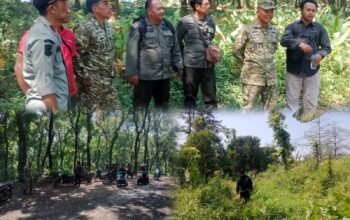 Kasdim 0819/Pasuruan Tinjau Lahan Persiapan Batalyon TP di Kawasan Perhutani Gempol