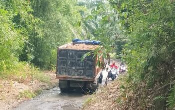 Proyek PIC Diduga Gunakan Material Tanah Timbun Ilegal, Dirkrimsus Poldasu Bungkam