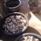 Fenomena Listrik Black out Rugikan Kenzi Berkah Semesta Farm Madina.
