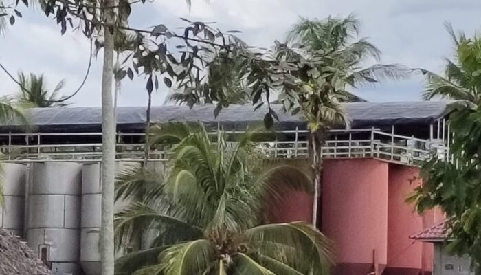 PMII Madina Soroti Dugaan Pembiaran Tong Pengolahan Emas Ilegal, Akan Surati Kapolda Sumut