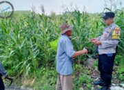 Pantau Lahan Jagung Petani, Polres Pasuruan Kawal Sukses Swasembada Pangan