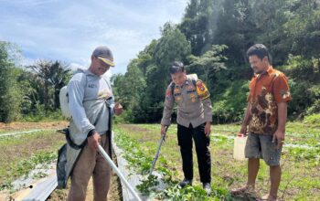 Bhabinkamtibmas Desa Mehalaan Monitoring Pemanfaatan Pekarangan Warga untuk Budidaya Buah dan Sayuran
