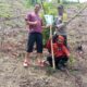Bhabinkamtibmas Pantau Keberhasilan Tanam Jagung Warga di Dusun Bombong, Hasil Panen Capai 400 Kg