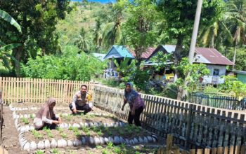 Bhabinkamtibmas Polsek Pamboang Dorong Ketahanan Pangan, Pekarangan Warga Disulap Jadi Kebun Sayur Produktif