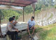 Bhabinkamtibmas Desa Gendro Tinjau Tanaman Cabai dalam Program Pekarangan Pangan Bergizi