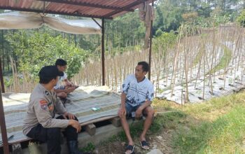 Bhabinkamtibmas Desa Gendro Tinjau Tanaman Cabai dalam Program Pekarangan Pangan Bergizi