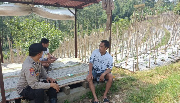Bhabinkamtibmas Desa Gendro Tinjau Tanaman Cabai dalam Program Pekarangan Pangan Bergizi