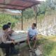 Bhabinkamtibmas Desa Gendro Tinjau Tanaman Cabai dalam Program Pekarangan Pangan Bergizi