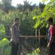 Pastikan Sukses Panen, Bhabinkamtibmas Polsek Sendana Pantau Ladang Jagung 3 Hektar Milik Kelompok Tani Bumdes Batros