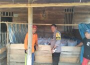 Bhabinkamtibmas Polsek Mambi Pantau Proses Penjemuran Jagung Warga di Desa Mehalaan Barat