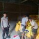Bhabinkamtibmas Polsek Mamasa Kawal Pengiriman 1,25 Ton Jagung Petani ke Bulog Polewali Mandar