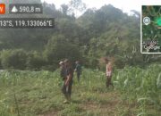 Bersama Bhabinkamtibmas Polsek Mambi Dampingi Petani di Desa Indobanua dalam Persiapan Tanam Jagung Seluas 3 Hektare