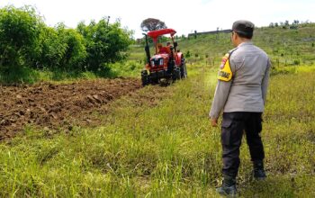 Bhabinkamtibmas Polres Majene Awasi Pemanfaatan Traktor Bantuan Dinas Pertanian untuk Dukung Swasembada Jagung di Tande