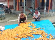 Pastikan Kadar Air Ideal, Bhabinkamtibmas Polsek Sendana Kontrol Proses Pengeringan Jagung Petani Puttada