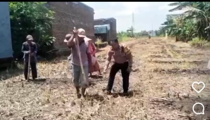 Polsek Tosari Pantau Lahan Kentang di Ngadiwono, Dukung Asta Cita Ketahanan Pangan