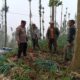 Bhabinkamtibmas Polsek Tosari Pantau Lahan Bawang Prei, Dukung Program Ketahanan Pangan Nasional