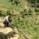 Polsek Mamasa Pantau Perkembangan Jagung di Desa Malabo, Panen Raya Diprediksi September 2026