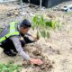 Satlantas Polres Pasangkayu Gelar Penanaman Pohon Bersama Masyarakat, Wujud Kepedulian Lingkungan di Hari Bhayangkara ke-80