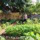 Pantau Kebun Cabai dan Singkong, Bhabinkamtibmas Polsek Pamboang Kawal Ketahanan Pangan dari Tingkat Desa