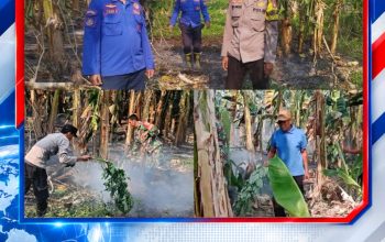 Tiga Kebun Pisang Terbakar di Tumpiling, Polsek Wonomulyo dan Satgas Karhutla Cegah Api Meluas
