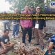 Gotong Royong Bersihkan Saluran Tersier Ciherang Kepuh Sepanjang 2 Kilometer