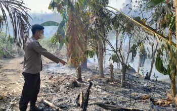 Kebakaran Lahan di Beroangin, Bhabinkamtibmas dan Damkar Berjibaku Padamkan Api