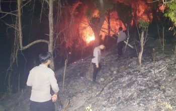 Kebakaran Lahan Seluas 2 Hektare di Desa Kurma Mapilli, Polisi dan Warga Berupaya Padamkan Api
