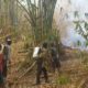 Polsek Allu Bersama Warga Padamkan Karhutla di Desa Alu, Sekitar 4 Hektare Lahan Terbakar